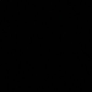 Meet your Posher, Mallory